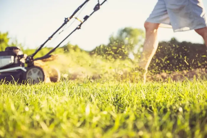 Can you mow wet grass in Temecula, CA