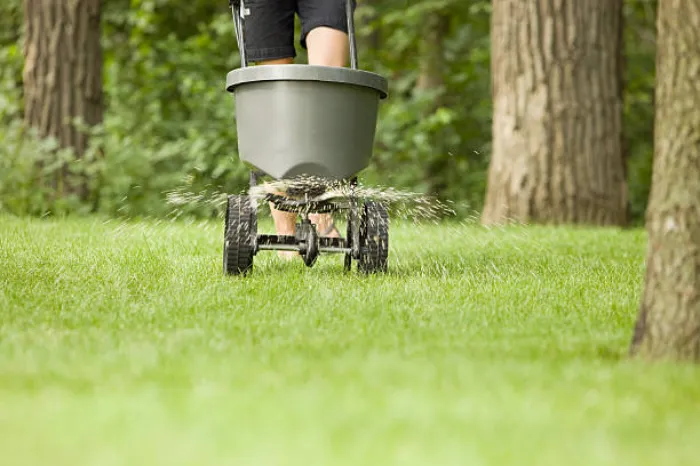 Dependable Lawn Fertilization in Temecula, CA