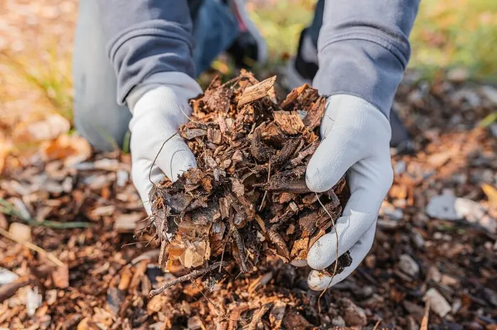 Dependable Mulching in Temecula, CA