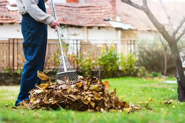 Detailed Yard Cleanup in Temecula, CA