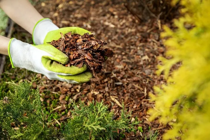 Excellent Mulching in Temecula, CA