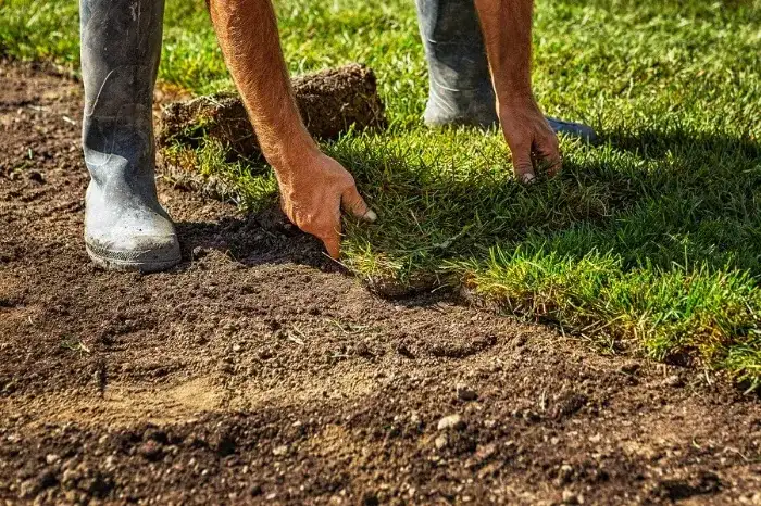 Excellent Sod Installation in Temecula, CA