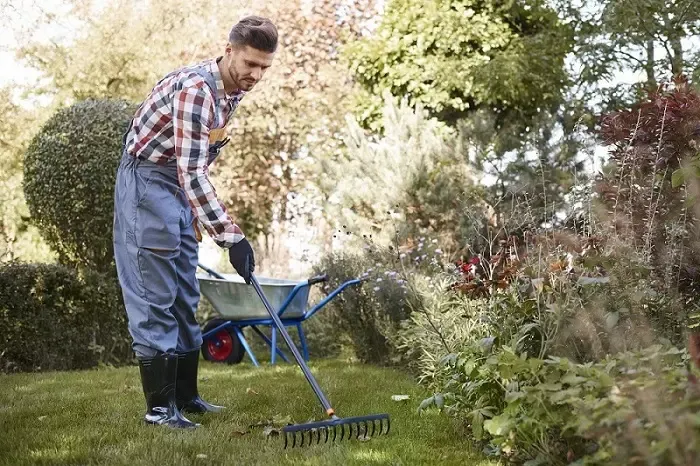 Exceptional Yard Cleanup in Temecula, CA