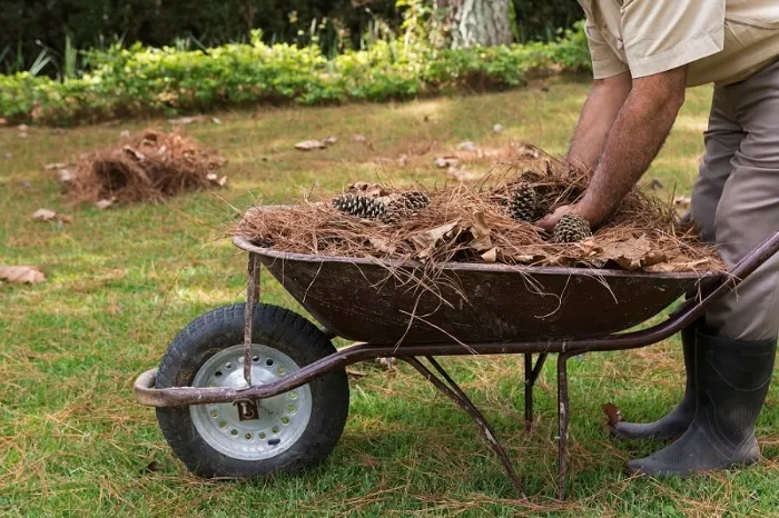 How To Clean A Backyard in Temecula, CA