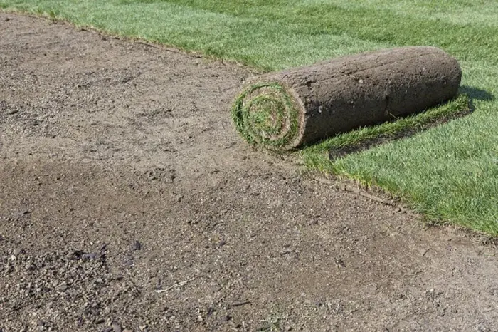 How long after installing sod can you walk on it Temecula, CA