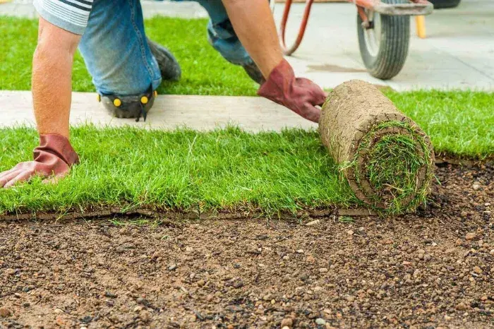 How long after installing sod can you walk on it in Temecula, CA