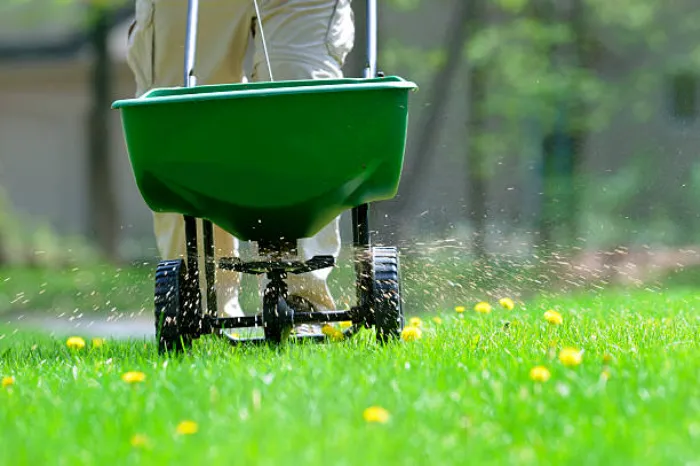 How often should you fertilize your lawn in Temecula, CA