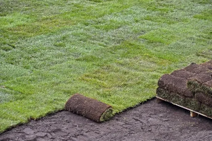 How to lay sod over existing lawn Temecula, CA