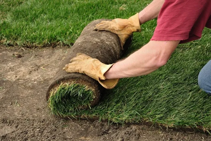 Proficient Sod Installation in Temecula, CA