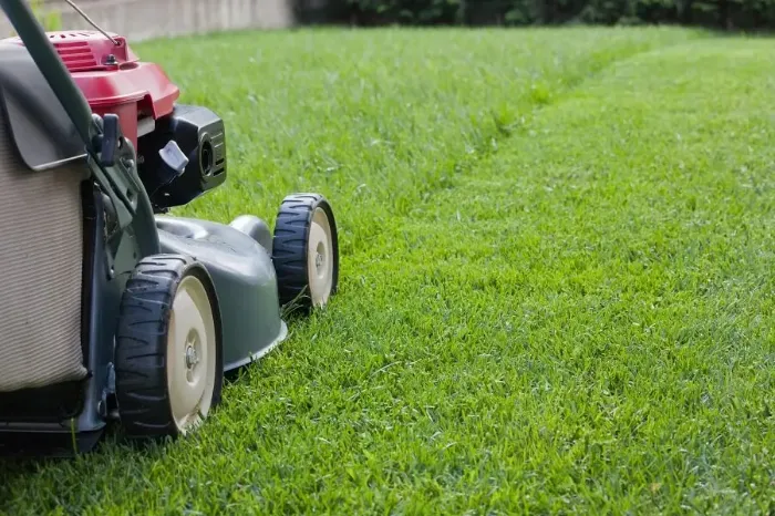 Reliable Lawn Mowing in Temecula, CA