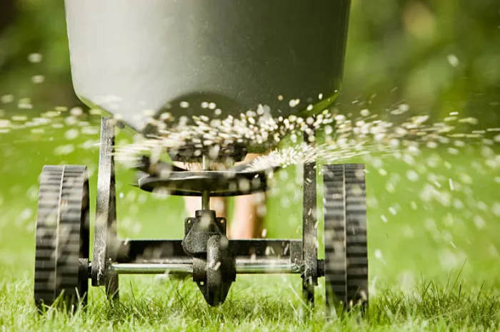 Top-notch Lawn Fertilization in Temecula, CA