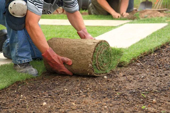 Trusted Sod Installation in Temecula, CA