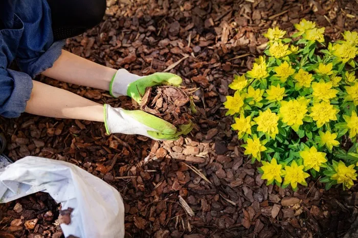 What does mulch do in Temecula, CA