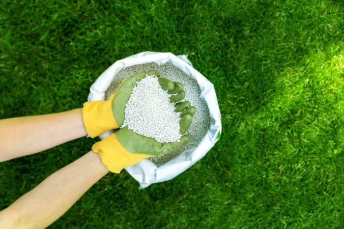 When is the best time to fertilize your lawn Temecula, CA